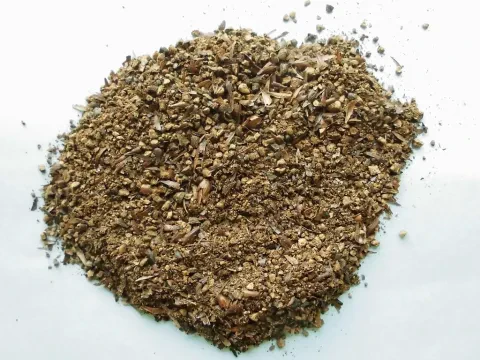 Ячмень яровой пивоваренный